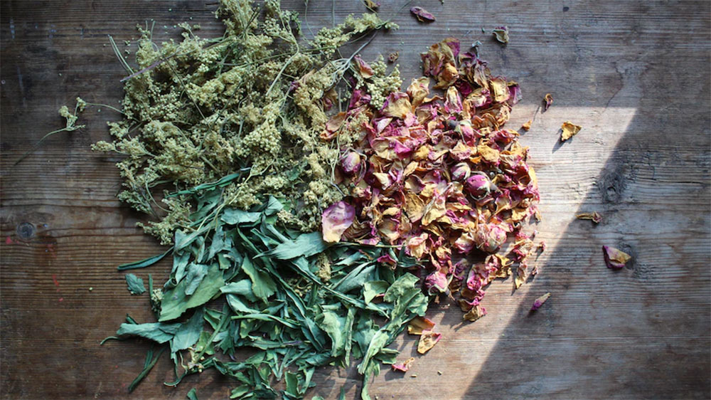 Cools.sk - Recenzie TOP produktov